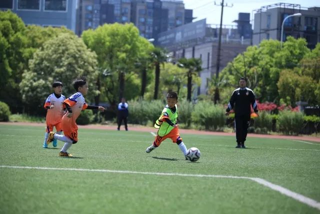 徐梦桃等4名女运动员获全国三八红旗手称号